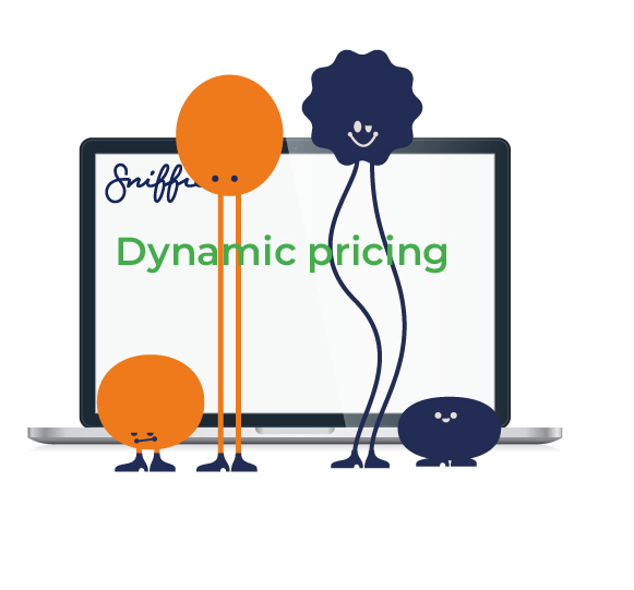 Webinar on dynamic pricing in ecommerce