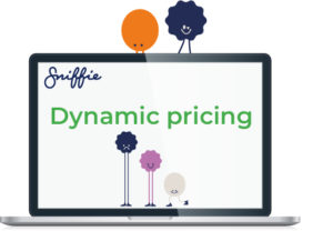 Webinar on dynamic pricing in ecommerce